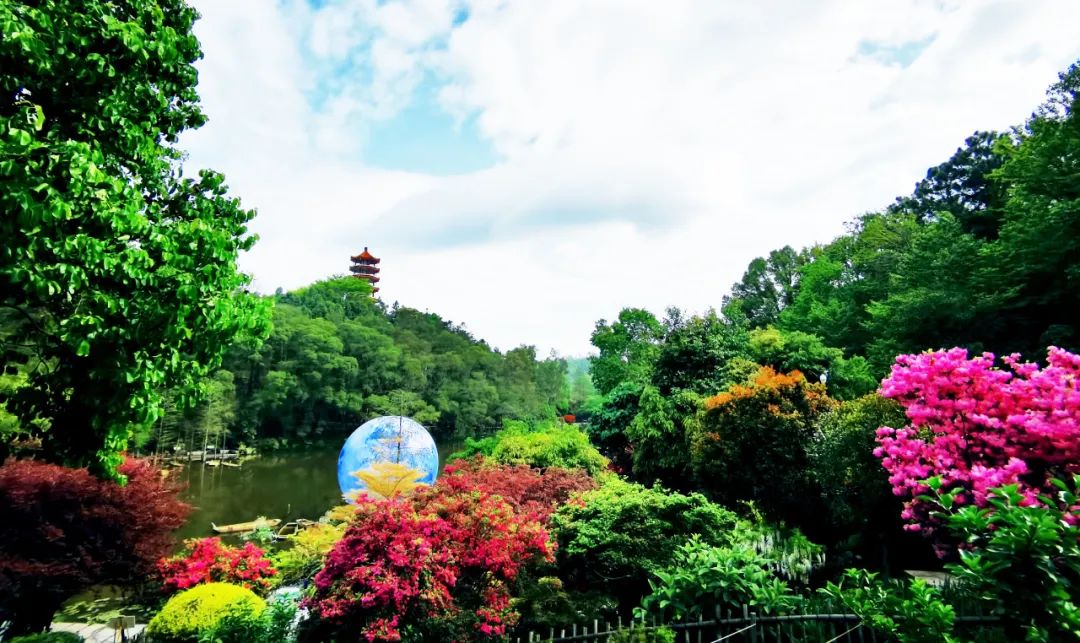 喜訊|2022粵港澳大灣區(qū)深圳花展“云”開(kāi)幕，人文園林首次斬獲三項(xiàng)大金獎(jiǎng)！