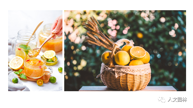 活動(dòng)報(bào)名|人文園林旗下花點(diǎn)園藝五周年慶活動(dòng)月來(lái)啦~古法香丸、柚子茶、無(wú)患子手工皂、圣誕花環(huán)DIY