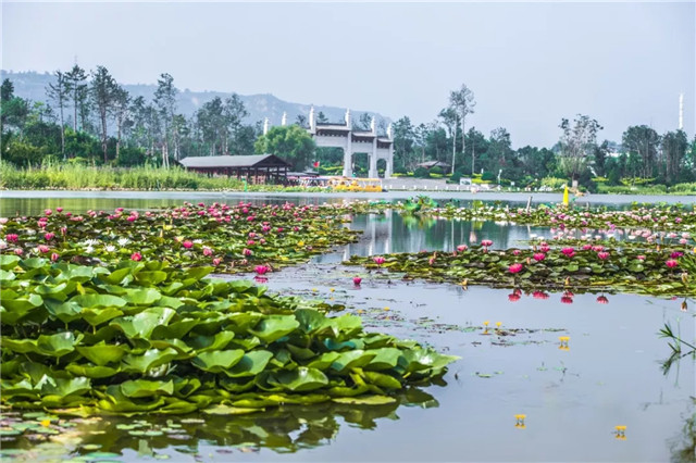 1551428407959522AE9B.jpg QQ圖片20190301161606.jpg