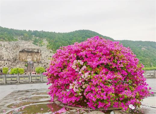 1682390117590611F7CF.jpg 640 (2).jpg