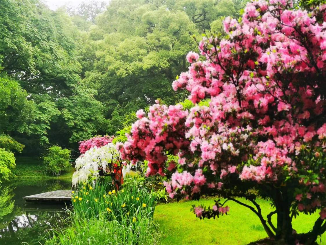 1682393443561005C1AB.jpg 微信圖片_20230421173610.jpg