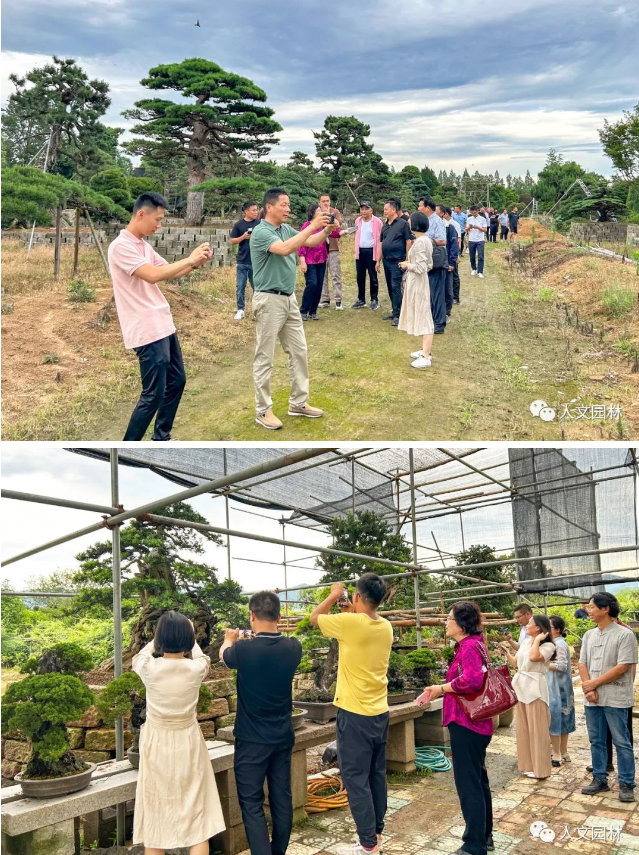 168801976813122960E1.png image.png