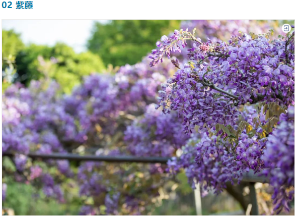 168802053911710225D7.png image.png