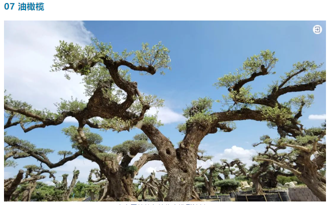 1688020628336078807B.png image.png